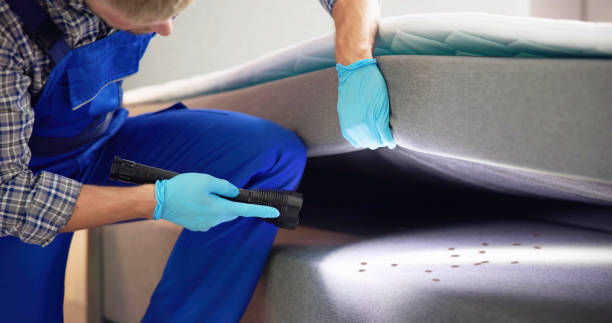 Best Mosquito Control Services  in Fond Du Lac, WI